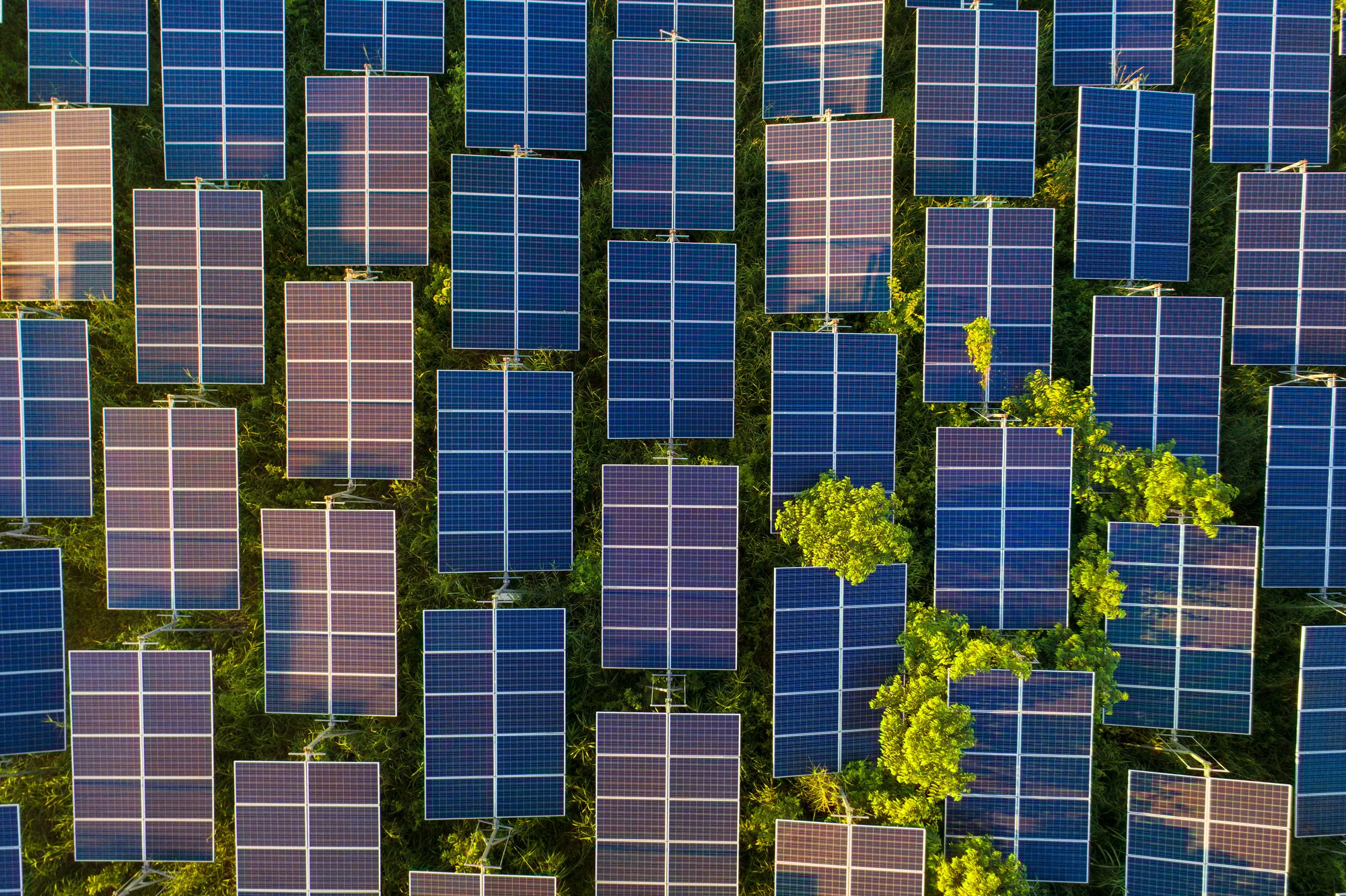 Solar panels in British countryside