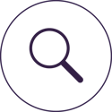 Audit icon