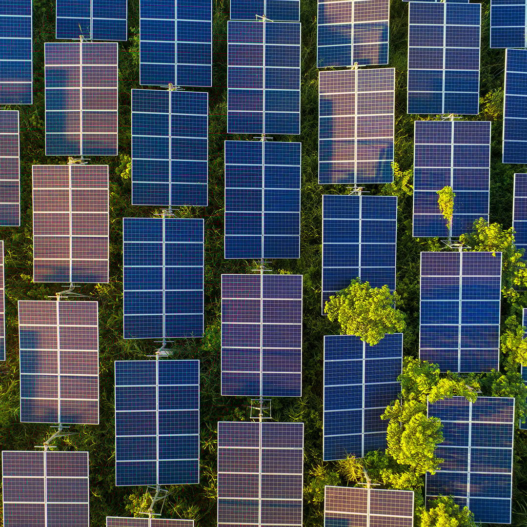 Solar panels in the British countryside