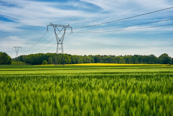 Electricity pylon in British farmers field