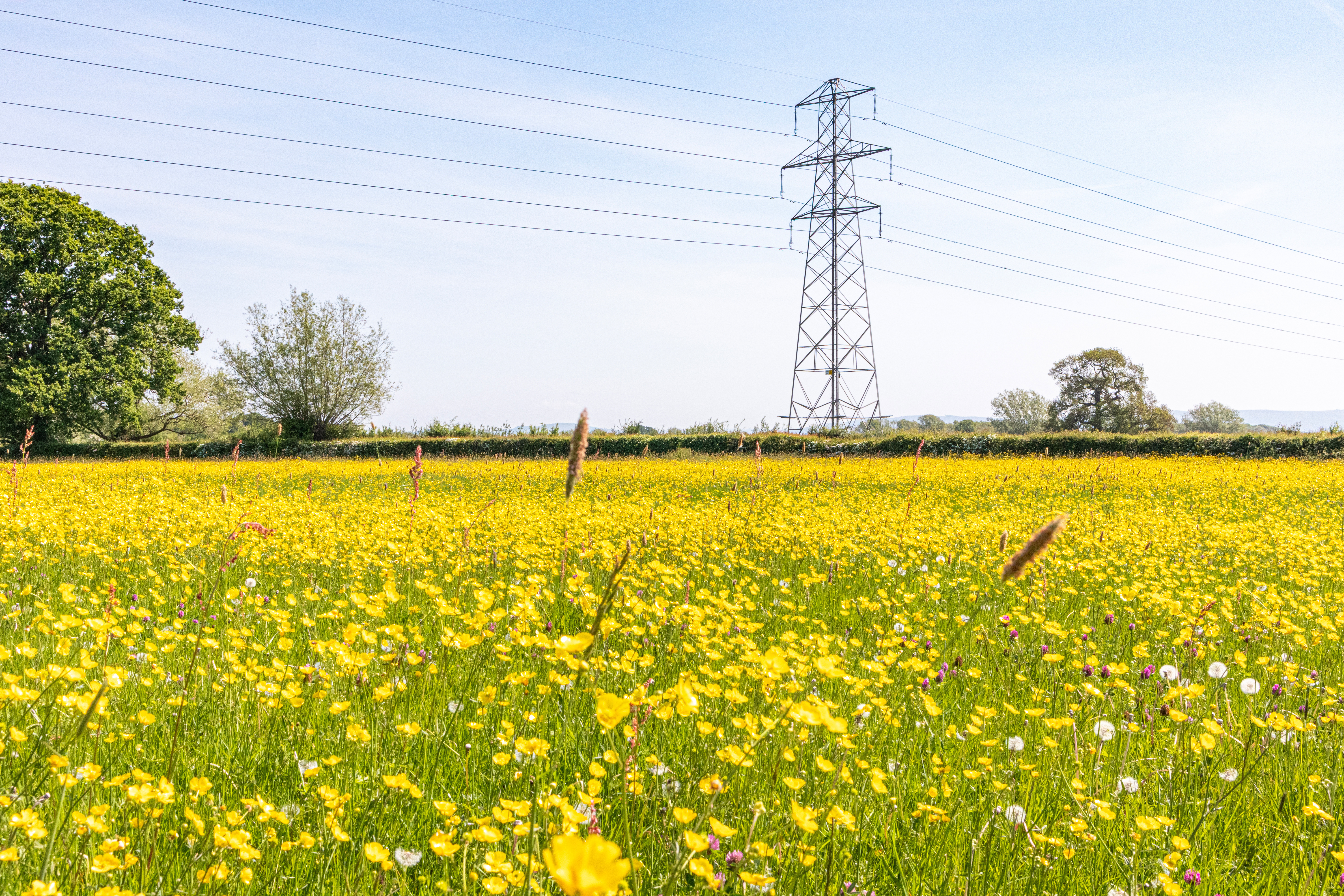 What is RIIO-ET3 and how will it affect your business?