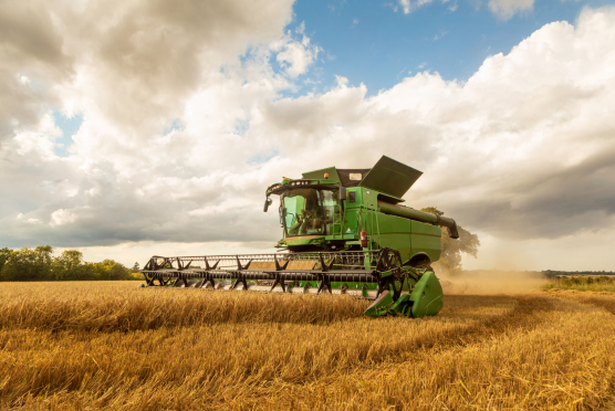 Lowering standing charge for Robert Thomas Farms